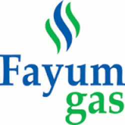 <p>Fayoum Gas</p>